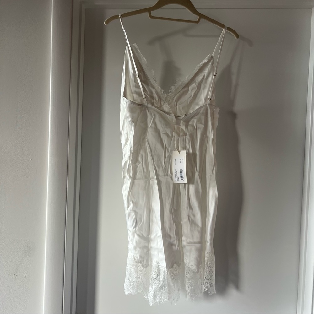 Shona Joy Lustre Lace Slip Mini Dress - Ivory - Picture 8 of 8